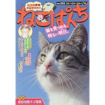 ねこぱんち 61NjCUXZO+L._AC_UL210_SR210,